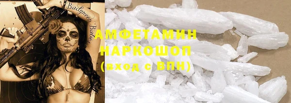 твердый Дмитров