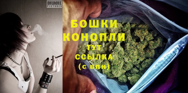 твердый Дмитров