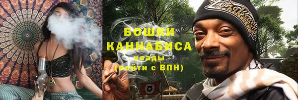 твердый Дмитров