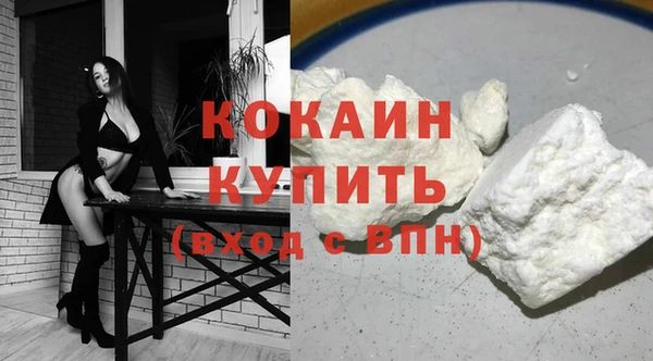 твердый Дмитров