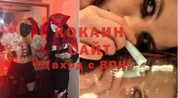 твердый Дмитров